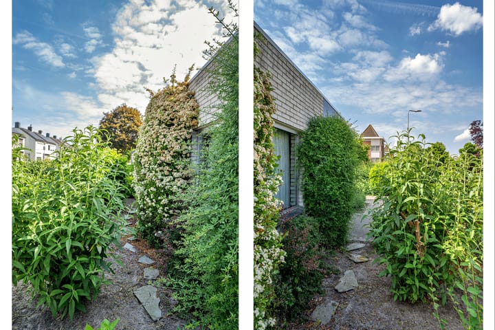 Foto 68 van Reuveltweg 33