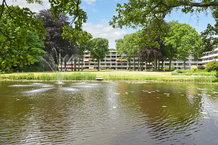 Foto 2 van Stoeplaan 11-F9