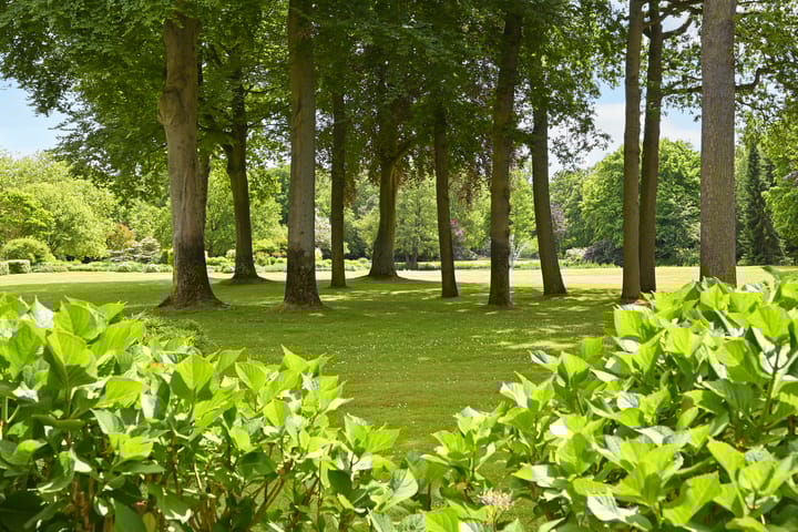 Foto 37 van Stoeplaan 11-F9