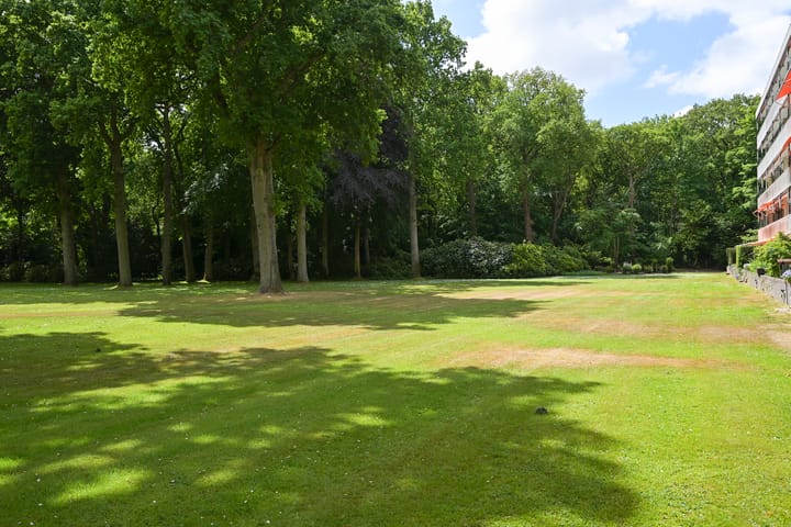 Foto 38 van Stoeplaan 11-F9