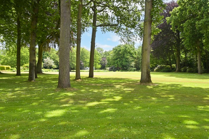 Foto 39 van Stoeplaan 11-F9