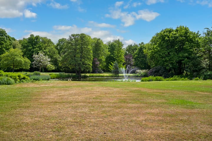 Foto 40 van Stoeplaan 11-F9