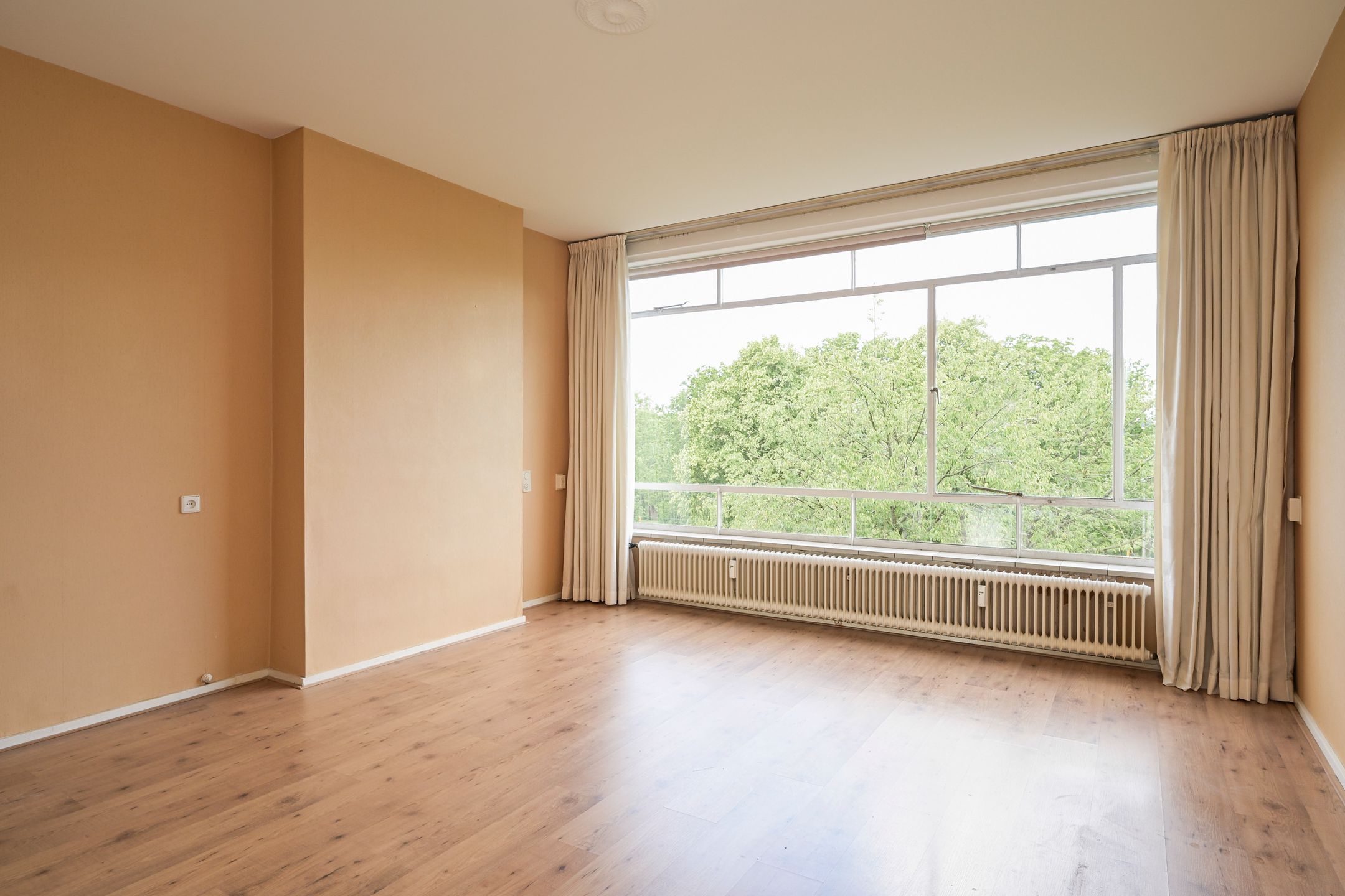 Foto 6 van Barnsteenhorst 180