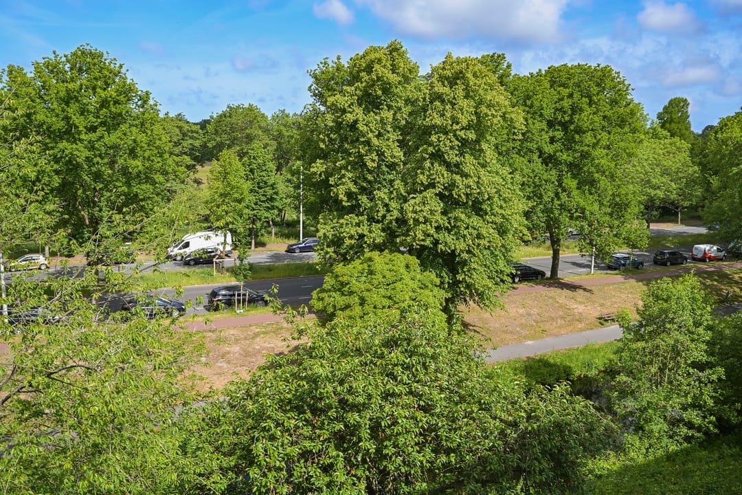 Foto 7 van Barnsteenhorst 180