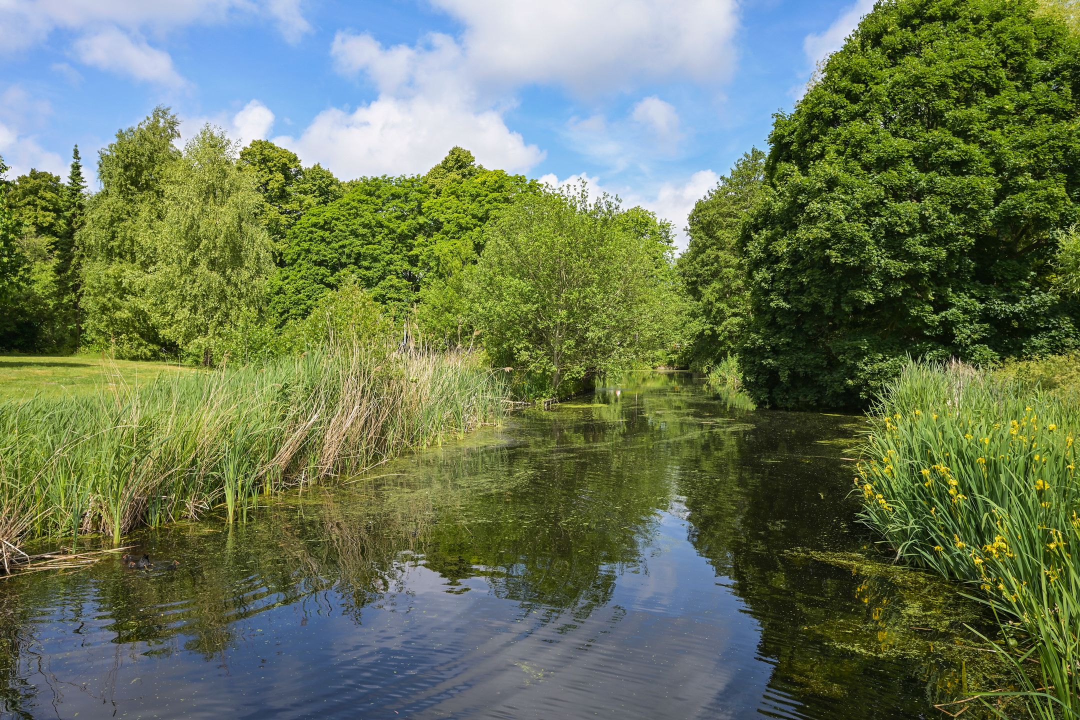 Foto 27 van Barnsteenhorst 180