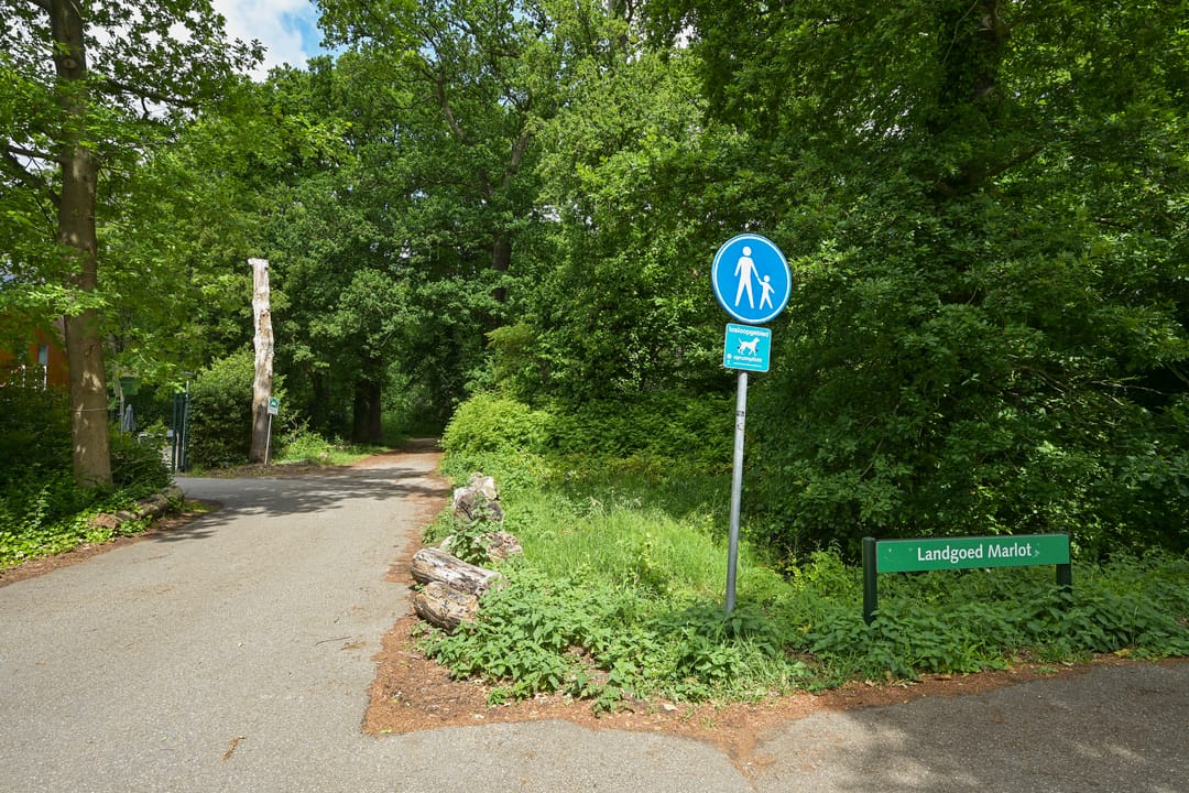 Foto 28 van Barnsteenhorst 180