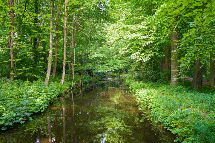 Foto 37 van Van Tedingerbrouckstraat 8