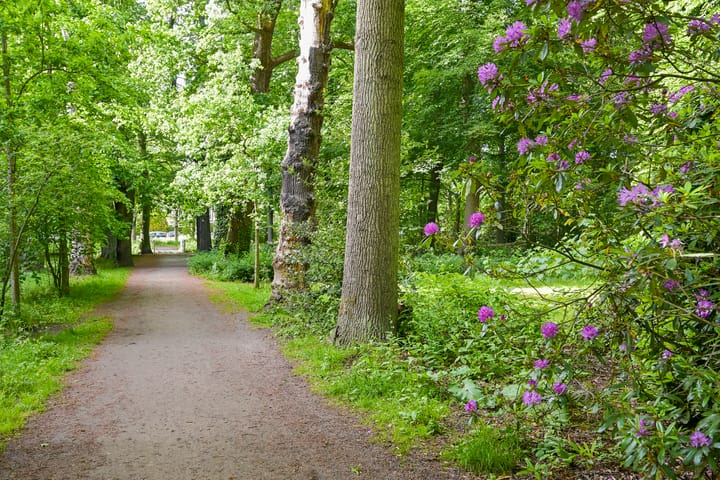 Foto 38 van Van Tedingerbrouckstraat 8