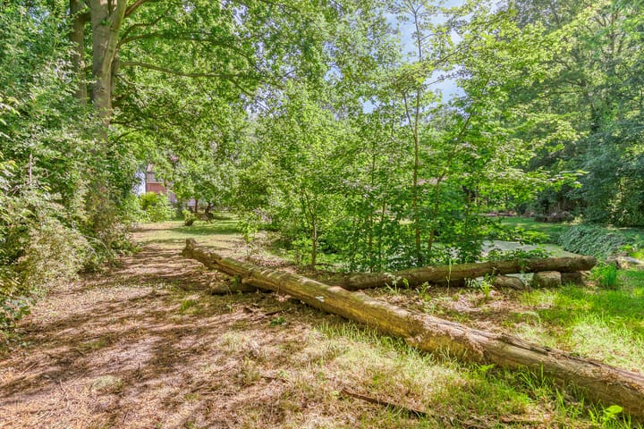 Photo 52 of Maasdijk 17