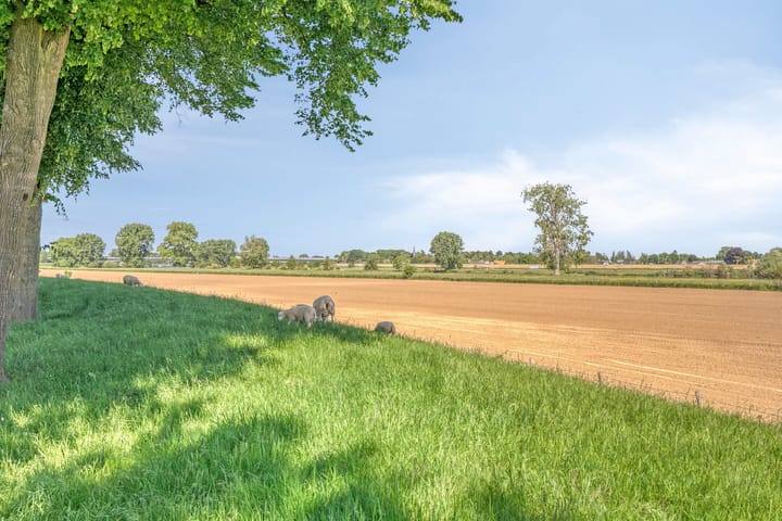 Photo 63 of Maasdijk 17