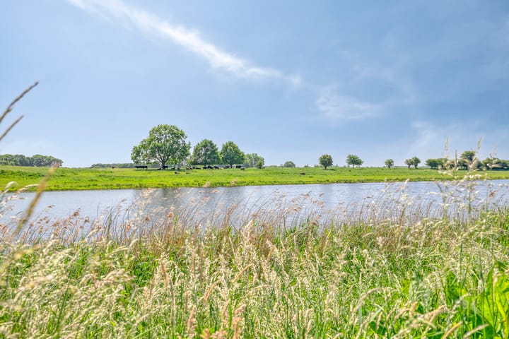 Photo 64 of Maasdijk 17