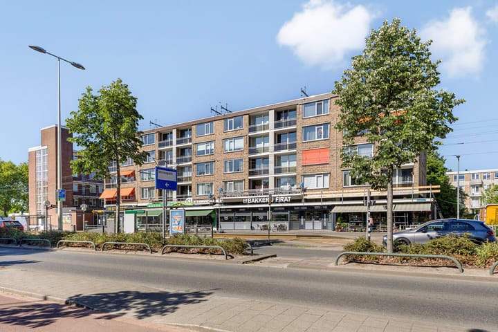 Foto 19 van Molenvliet 79