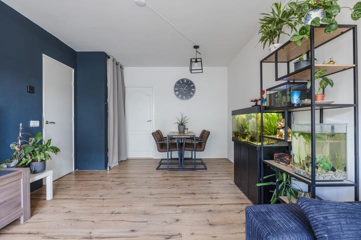 Photo 11 of Vrije Nesse 20