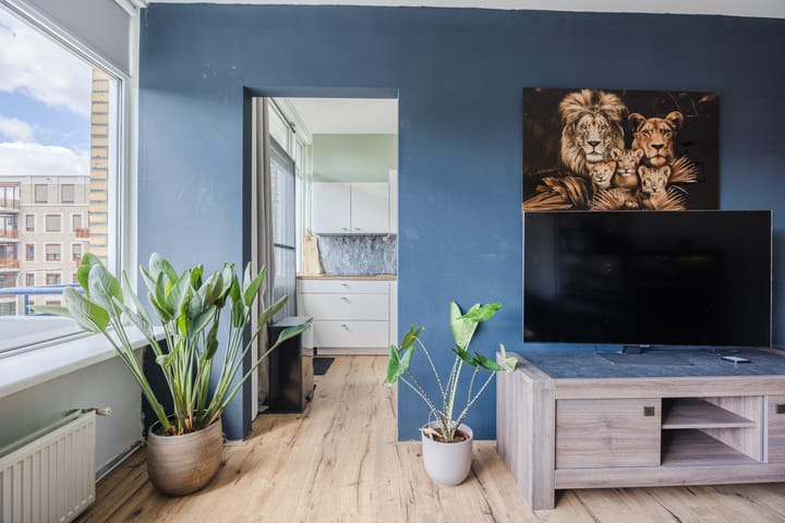 Photo 12 of Vrije Nesse 20