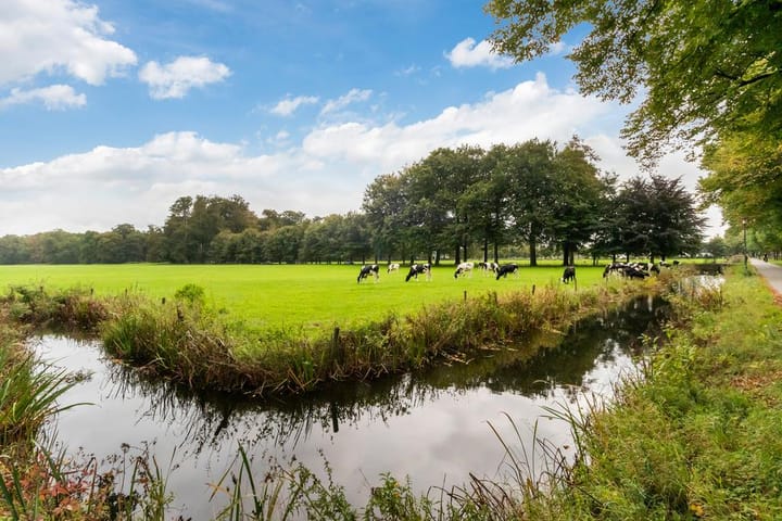 Foto 31 van Zuidereinde 252-A