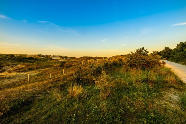 Foto 38 van Liduinalaan 12