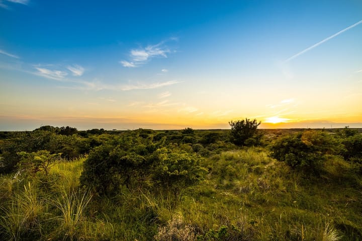 Foto 42 van Liduinalaan 12