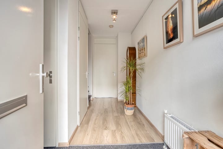 Foto 2 van Lijster 6