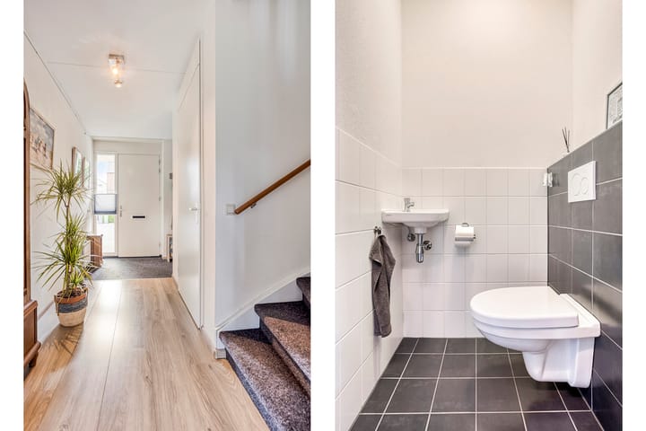 Foto 3 van Lijster 6