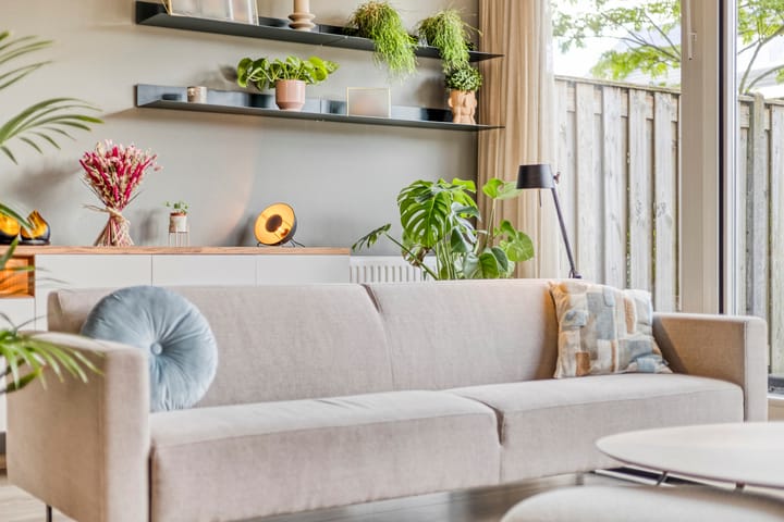 Foto 6 van Lijster 6