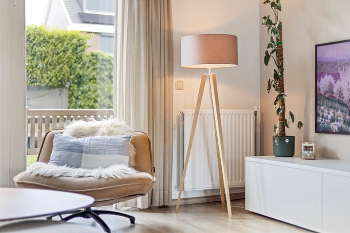 Foto 7 van Lijster 6