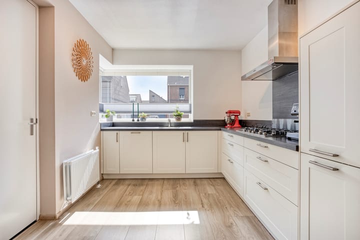 Foto 12 van Lijster 6