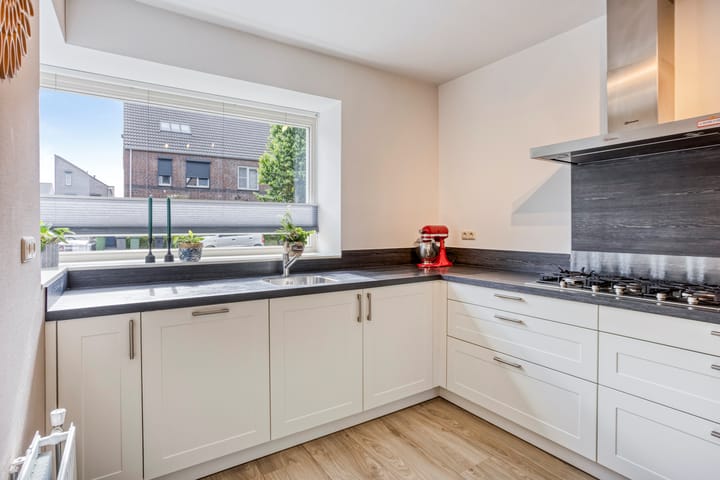 Foto 13 van Lijster 6