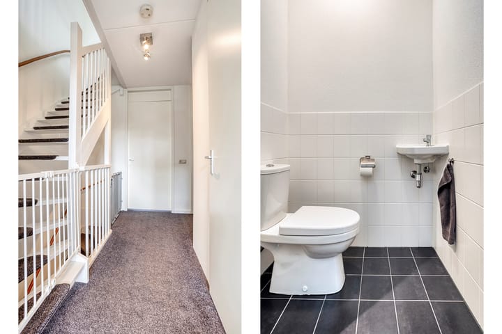 Foto 16 van Lijster 6