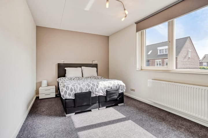 Foto 17 van Lijster 6