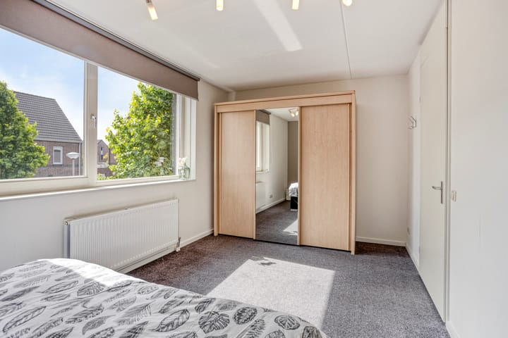 Foto 18 van Lijster 6