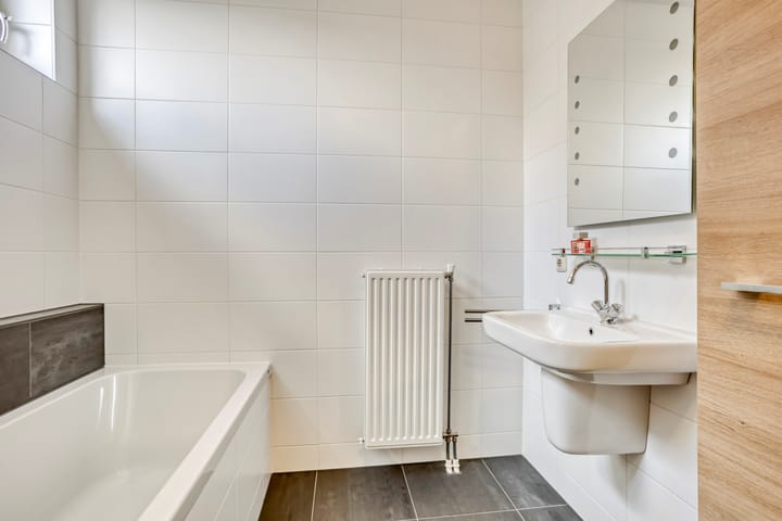 Foto 20 van Lijster 6