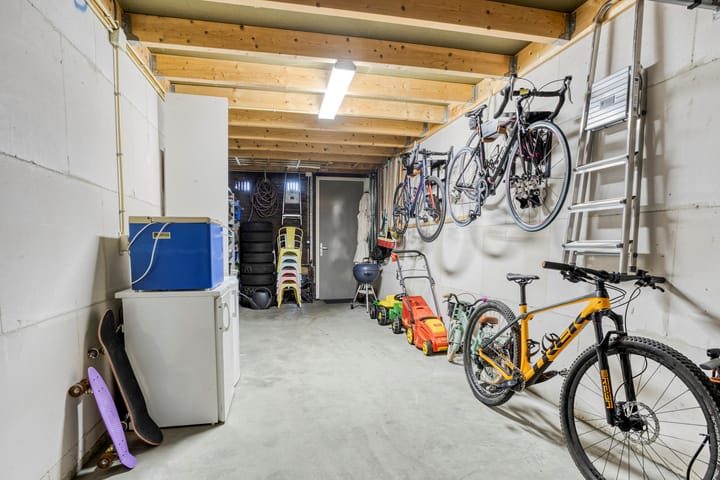 Foto 28 van Lijster 6