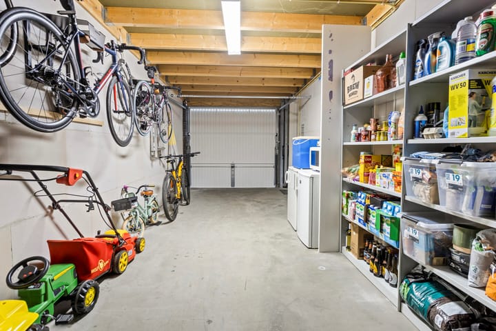 Foto 29 van Lijster 6