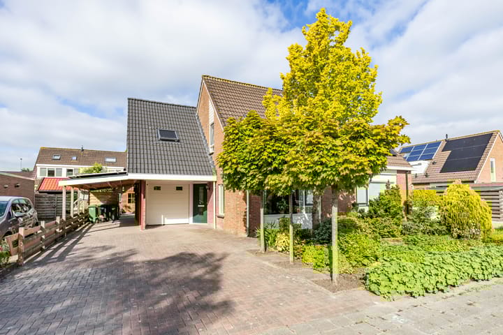 Foto 1 van Molepaed 4