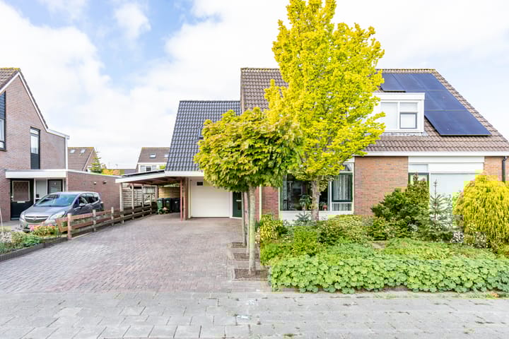 Foto 40 van Molepaed 4