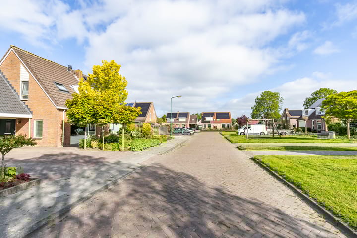 Foto 41 van Molepaed 4