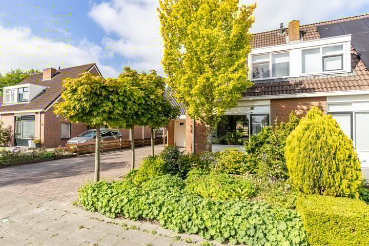 Foto 42 van Molepaed 4