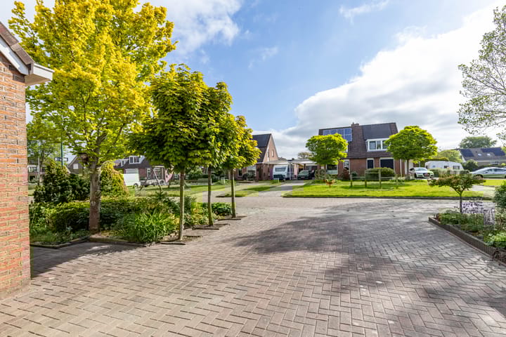 Foto 45 van Molepaed 4