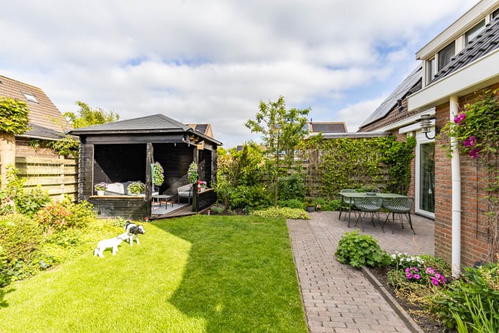 Foto 48 van Molepaed 4