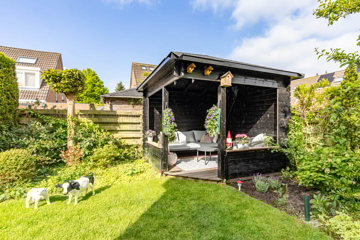 Foto 49 van Molepaed 4