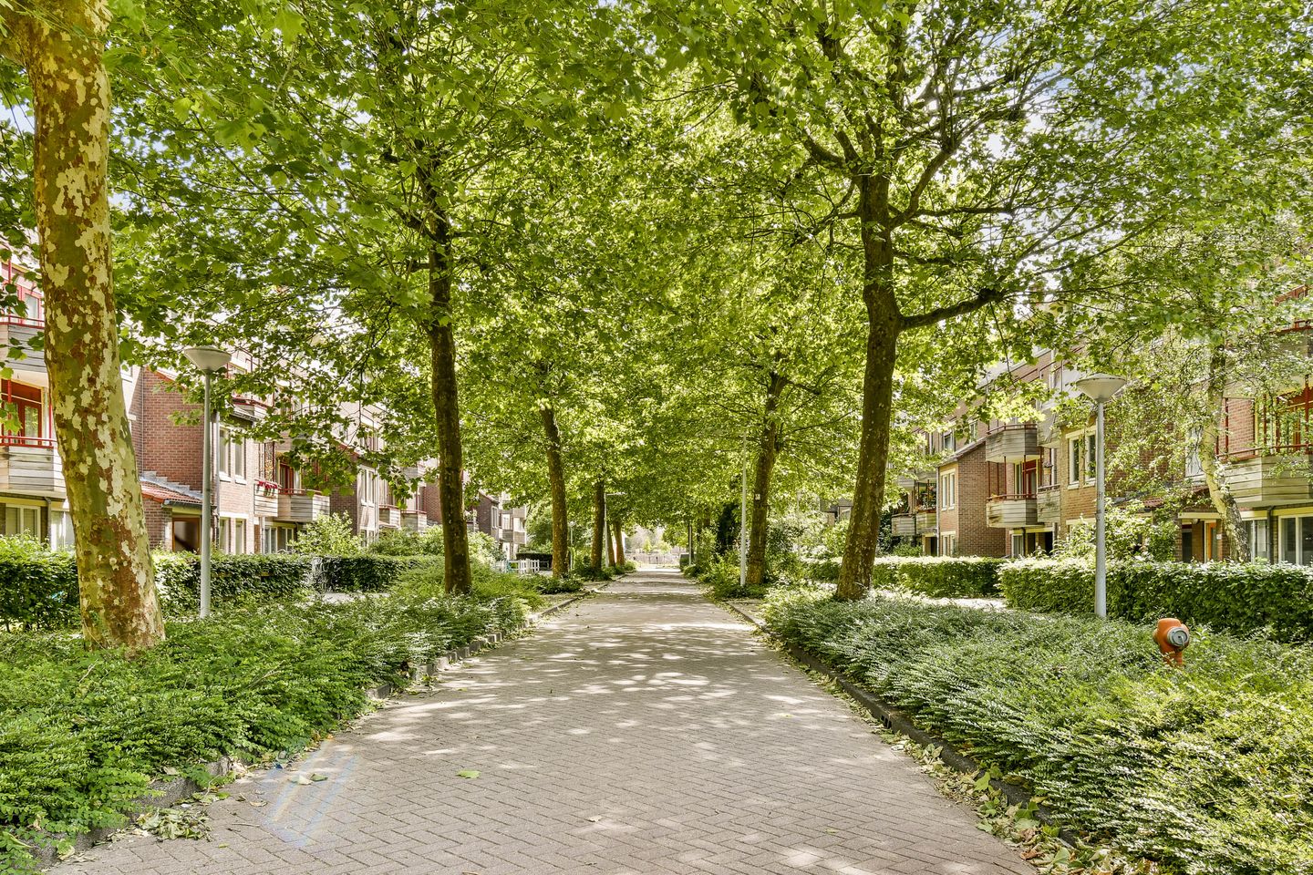 Foto 20 van Vianenstraat 104