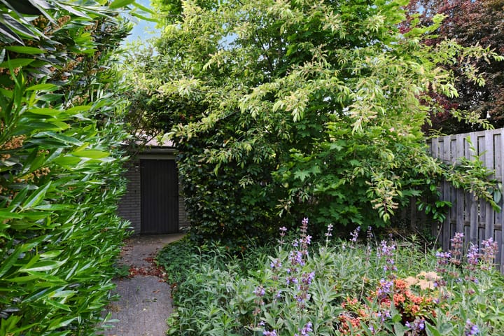 Foto 23 van Ockeghemstraat 14