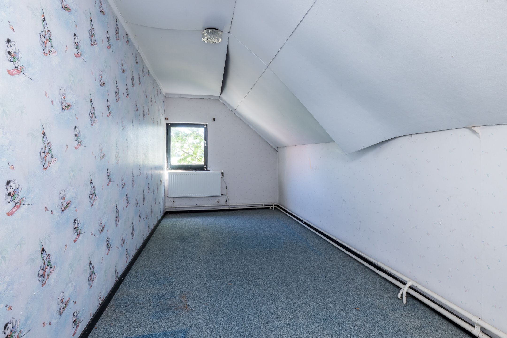 Foto 12 van Aalbekerweg 36-A