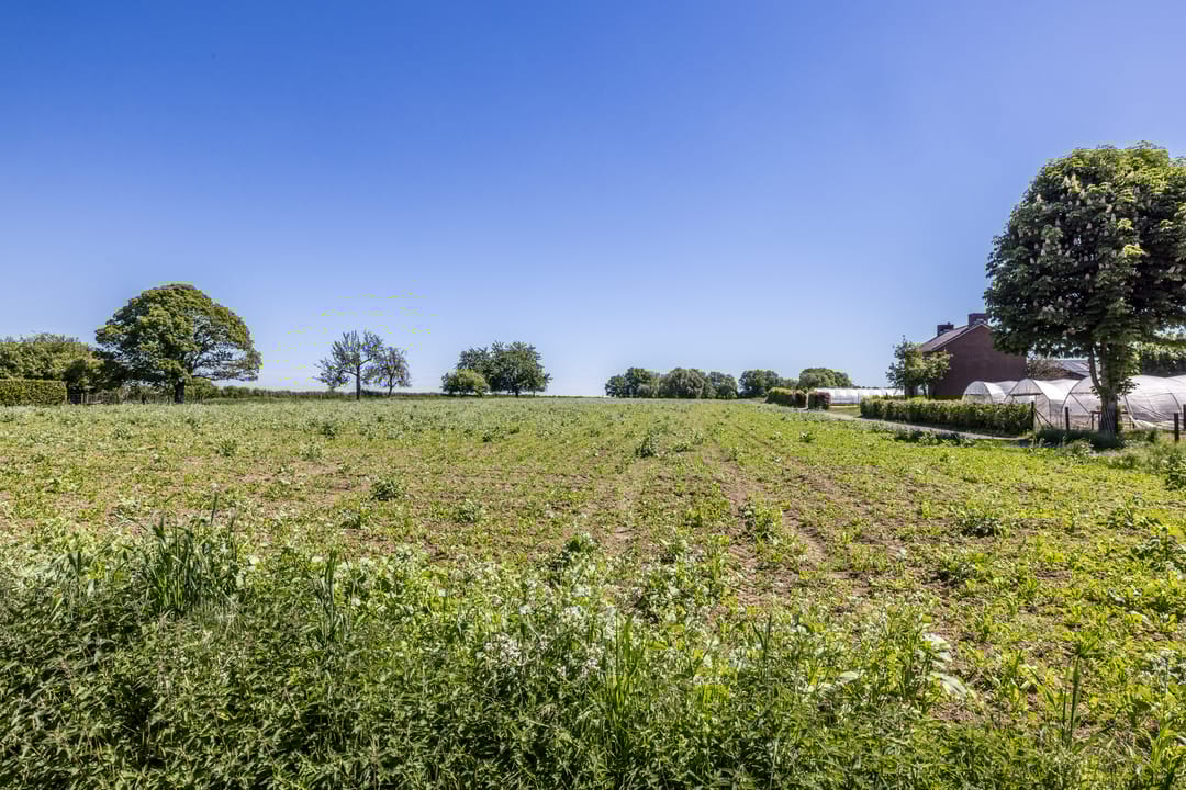 Foto 23 van Aalbekerweg 36-A