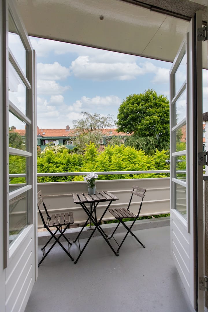 Foto 21 van Pontanuslaan 63