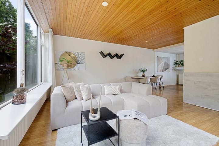 Foto 19 van Zijlroede 119