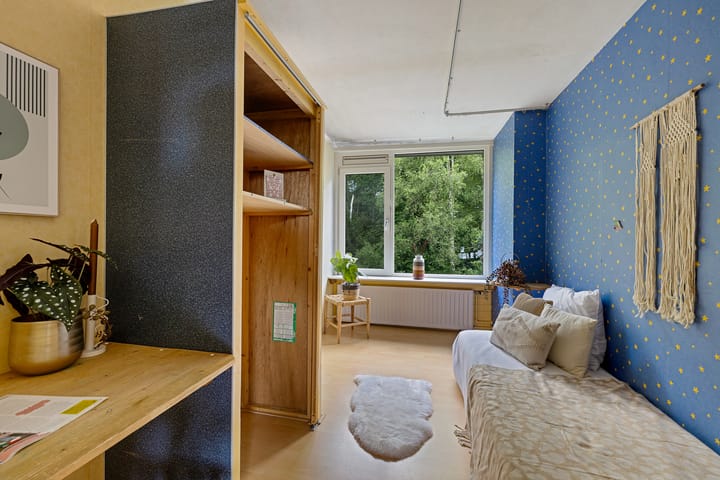 Foto 27 van Zijlroede 119