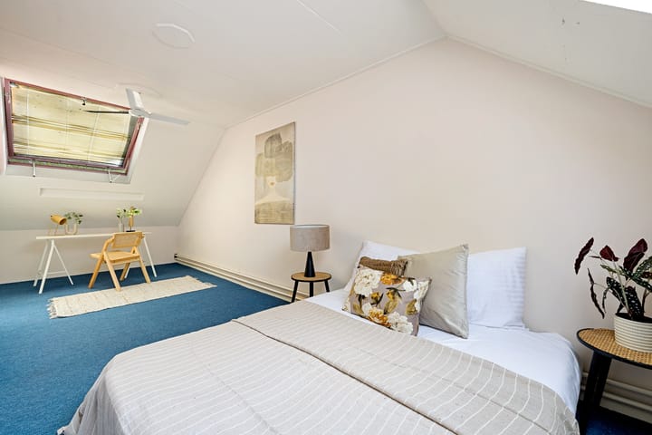 Foto 36 van Zijlroede 119