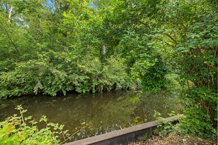 Foto 40 van Zijlroede 119