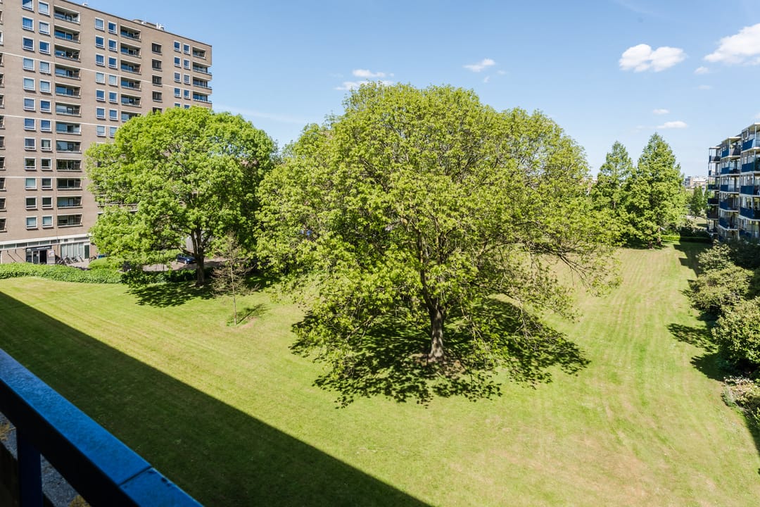 Photo 28 of Aert van Neslaan 406